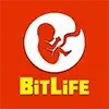 BitLife Geometry Spot Game