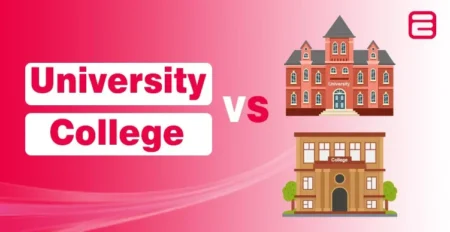 University vs College