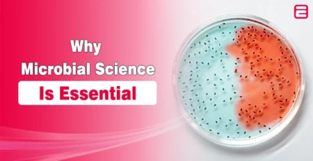 Microbial Science
